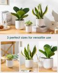 vancasso Ceramic Plant Pots, 4+5+6 inches, Set of 3, Planters with Drainage Hole, Flower Pots Planters Pots for Indoor Plants, Modern Indoor Decorative Garden Pot, Home Decor, White