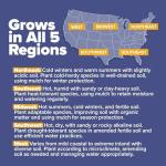 HOME GROWN Wildflower Seeds Bulk 4 oz 63,200+ Seeds 19 Varieties Non-GMO Perennial Mix, Butterfly & Pollinator Flower Seeds, Attract Bees, Birds & Hummingbirds, Outdoor Planting