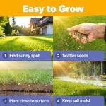 HOME GROWN Wildflower Seeds Bulk 4 oz 63,200+ Seeds 19 Varieties Non-GMO Perennial Mix, Butterfly & Pollinator Flower Seeds, Attract Bees, Birds & Hummingbirds, Outdoor Planting