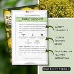 Sow Right Seeds - Sweet Alyssum Basket of Gold Flower Seeds for Planting - Perennial Garden Flowers - Easy to Grow Fragrant Blooms - Ideal for Borders and Containers - Attract Pollinators (1)