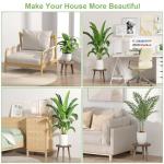 Vecxoty 3-Pack Wood Plant Stands Indoor, Single Plant Stand for 6-12 Inch Pots, Mid-Century Modern Plant Stool, Tall Plant Stand for Large Plants Perfect Fit for Living Room, Balcony, Office