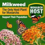 HOME GROWN Premium Monarch Butterfly Wildflower Seeds Mix (2oz) - 20000+ Non-GMO Milkweed Seeds for Monarch Butterflies - Perennial Wildflowers - Bulk Flower Seeds for Pollinator Gardens