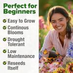 HOME GROWN Premium Monarch Butterfly Wildflower Seeds Mix (2oz) - 20000+ Non-GMO Milkweed Seeds for Monarch Butterflies - Perennial Wildflowers - Bulk Flower Seeds for Pollinator Gardens