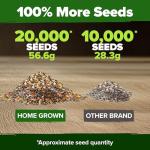 HOME GROWN Premium Monarch Butterfly Wildflower Seeds Mix (2oz) - 20000+ Non-GMO Milkweed Seeds for Monarch Butterflies - Perennial Wildflowers - Bulk Flower Seeds for Pollinator Gardens