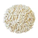 AL AMIRA Melon Seed