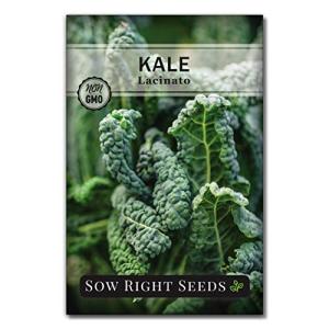 Sow Right Seeds - Lacinato Kale Seed for Planting - Non-GMO Heirloom Packet with Instructions to Plant a Home Vegetable Garden - Very Nutritious Superfood, Grow This Dinosaur Variety (1)