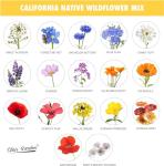 California Wildflower Mix - 5,000 Seeds - 17 Varieties - No Fillers, Open Pollinated and Non GMO, Perennial and Annual Garden Flowers, Attracts Bees and Butterflies