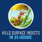 BioAdvanced Complete Brand Insect Killer for Soil and Turf, Granules, 10 lb, Outdoor Ant Killer