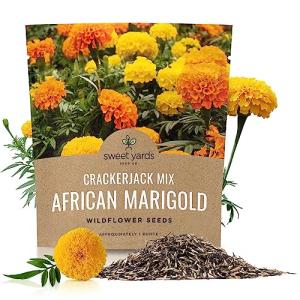 Sweet Yards African Marigold Seeds Mix Crackerjack Mix - Bulk 1 Ounce Packet - Over 10,000 Seeds - Huge Orange and Yellow Blooms - Adaptable to All US Regions - Pollinator Friendly