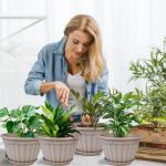 FGstyle 10 Inch Plants Pot,4 Pack Flower Pots,Planters Pot with Drainage Hole & Saucer,Modern Planters for Indoor Outdoor Plants,Decorative Resin Garden Pots for Outdoor Indoor Home Plants (Beige)