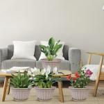 FGstyle 10 Inch Plants Pot,4 Pack Flower Pots,Planters Pot with Drainage Hole & Saucer,Modern Planters for Indoor Outdoor Plants,Decorative Resin Garden Pots for Outdoor Indoor Home Plants (Beige)