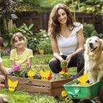 72 Pcs Classic Sticky Traps for Fungus Gnat (Plants), Flying Insect, Whitefly and Fly, Yellow Sticky Insect Catcher Traps for Indoor/Outdoor, Kitchen, and Plants, High-End Glue, Non-Toxic, 4 Shapes