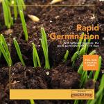 Barenbrug Premium Free Range Chicks Mix Forage Seed Mixture, 1 lb, One Pack