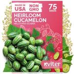 KVITER 75 Cucamelon Seeds for Planting (Melothria Scabra) – Mexican Sour Gherkin Seeds, Gherkin Cucumber, Mexican Mini Watermelon – Heirloom Vegetable Seed for Outdoor & Indoor Garden, Containers