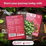 KVITER 75 Cucamelon Seeds for Planting (Melothria Scabra) – Mexican Sour Gherkin Seeds, Gherkin Cucumber, Mexican Mini Watermelon – Heirloom Vegetable Seed for Outdoor & Indoor Garden, Containers