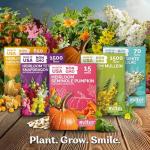 KVITER 75 Cucamelon Seeds for Planting (Melothria Scabra) – Mexican Sour Gherkin Seeds, Gherkin Cucumber, Mexican Mini Watermelon – Heirloom Vegetable Seed for Outdoor & Indoor Garden, Containers