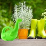 Cornucopia Brands Green Dinosaur Watering Can; Novelty Plastic Waterer Toddler-Friendly & Kid-Loved