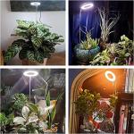 Aokrean Plant Grow Light, 48 LEDs Full Spectrum Grow Lights for Indoor Plants, Height Adjustable Small Halo Grow Light with Base, 3 Optional Spectrums, Auto Timer 3/9/12Hrs, 10 Brightness, 3 Pack