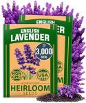 HOME GROWN English Lavender Seeds 2 Pack 3000 Non GMO Wildflower Seed, for Planting Indoor Outdoor High Germination Flower Seeds (Lavandula antustifolia)