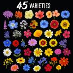 Package of 100,000 Wildflower Seeds - Save The Bees Wild Flower Seeds Collection - 45 Varieties of Pure Non-GMO Flower Seeds for Planting Including Milkweed, Poppy, and Lupine