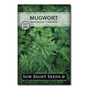Sow Right Seeds - Mugwort Seeds for Planting - Non-GMO Heirloom Packet with Instructions to Plant an Outdoor or Indoor Herb Garden - Rare Perennial, Wild Wormwood - Medicinal & Culinary Cronewort (1)