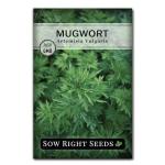 Sow Right Seeds - Mugwort Seeds for Planting - Non-GMO Heirloom Packet with Instructions to Plant an Outdoor or Indoor Herb Garden - Rare Perennial, Wild Wormwood - Medicinal & Culinary Cronewort (1)