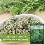 Sow Right Seeds - Mugwort Seeds for Planting - Non-GMO Heirloom Packet with Instructions to Plant an Outdoor or Indoor Herb Garden - Rare Perennial, Wild Wormwood - Medicinal & Culinary Cronewort (1)
