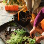 Fiskars Garden Tool Caddy with Removable Small Tool Storage for Indoor and Outdoor Gardening Use, Made with Recycled Plastic