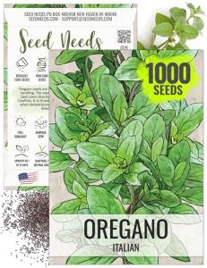 Seed Needs Oregano Seeds for Planting Italian Herbs - Non-GMO Heirloom & Untreated Culinary Herb Seed - Grow Indoors or Outdoors for a Kitchen Garden (1 Pack)