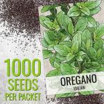Seed Needs Oregano Seeds for Planting Italian Herbs - Non-GMO Heirloom & Untreated Culinary Herb Seed - Grow Indoors or Outdoors for a Kitchen Garden (1 Pack)
