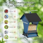 Wildpark Squirrel Proof Bird Feeders for Outdoors, 5LB Metal Hanging Feeders, Large Wild Feeders for Cardinals, Chickadees, Durable Backyard Feeders -One in Blue