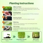 Outsidepride Annual Daikon Radish Seeds - 5 lbs. Chinese, Japanese, & Oriental Radish Seeds for Soil Health, Erosion Control, & Soil Aeration - Ideal for Gardens, Cover Crops, Pastures, & Food Plots