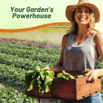 Outsidepride Annual Daikon Radish Seeds - 5 lbs. Chinese, Japanese, & Oriental Radish Seeds for Soil Health, Erosion Control, & Soil Aeration - Ideal for Gardens, Cover Crops, Pastures, & Food Plots