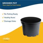 Costa Farms Live Indoor Plant Pack in Plastic Pots, Easy to Maintain, Air Purifying Indoor Houseplants, Assorted Varieties, Room or Office Decor, House Warming Gift, 8-12 Inches Tall, Pack of 4