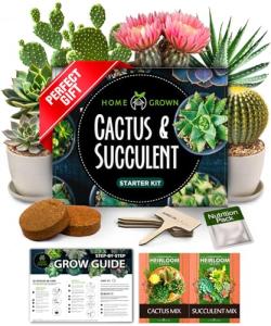 HOME GROWN Succulent & Cactus Seed Kit for Planting – [Enthusiasts Favorites] Premium Cactus & Succulent Starter Kit: 4 Planters, Drip Trays, Markers, Seeds Mix, Soil - DIY Gift Kits