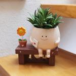 QIAOLY Sunflower Planter Pot with Drainage Hole Cute Plant Pots for Succulents Plants Live Unique Flower Pots for Indoor Outdoor Use