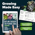 HOME GROWN Succulent & Cactus Seed Kit for Planting – [Enthusiasts Favorites] Premium Cactus & Succulent Starter Kit: 4 Planters, Drip Trays, Markers, Seeds Mix, Soil - DIY Gift Kits