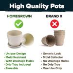 HOME GROWN Succulent & Cactus Seed Kit for Planting – [Enthusiasts Favorites] Premium Cactus & Succulent Starter Kit: 4 Planters, Drip Trays, Markers, Seeds Mix, Soil - DIY Gift Kits