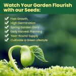 Herb Seeds 15-Pack – 4,500+ Non-GMO Heirloom Seeds for Planting – Indoor & Outdoor Herb Garden Kit with Basil, Cilantro, Rosemary, Thyme, Dill, Sage – Medicinal & Culinary Herb Seeds Variety Pack