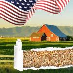 Herb Seeds 15-Pack – 4,500+ Non-GMO Heirloom Seeds for Planting – Indoor & Outdoor Herb Garden Kit with Basil, Cilantro, Rosemary, Thyme, Dill, Sage – Medicinal & Culinary Herb Seeds Variety Pack