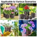 Bonviee 30 Packs 6.7/5/4 Inch Clear Nursery Pots for Plants, Plastic Seedling Pots with Drainage Holes, Planters for Indoor Plants and Transparent Seed Starter Pots with 10 Plant Labels