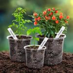 Bonviee 30 Packs 6.7/5/4 Inch Clear Nursery Pots for Plants, Plastic Seedling Pots with Drainage Holes, Planters for Indoor Plants and Transparent Seed Starter Pots with 10 Plant Labels