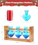Nacome Plant Terrarium Propagation Stations: Christmas Gifts for Plant Lovers Women Mom Wife - Wooden Stand Tabletop Planter 3 Bulb Glass Vase Heart Shaped for Hydroponics Indoor Home Office Decor