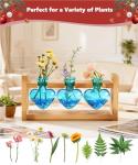 Nacome Plant Terrarium Propagation Stations: Christmas Gifts for Plant Lovers Women Mom Wife - Wooden Stand Tabletop Planter 3 Bulb Glass Vase Heart Shaped for Hydroponics Indoor Home Office Decor