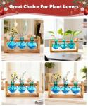 Nacome Plant Terrarium Propagation Stations: Christmas Gifts for Plant Lovers Women Mom Wife - Wooden Stand Tabletop Planter 3 Bulb Glass Vase Heart Shaped for Hydroponics Indoor Home Office Decor