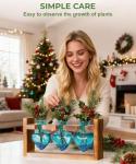 Nacome Plant Terrarium Propagation Stations: Christmas Gifts for Plant Lovers Women Mom Wife - Wooden Stand Tabletop Planter 3 Bulb Glass Vase Heart Shaped for Hydroponics Indoor Home Office Decor