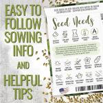 Seed Needs Cucamelon Seeds for Planting Mexican Sour Gherkin Miniature Mouse Melons - Non-GMO Heirloom & Untreated - Grow a Home Grown Indoor Outdoor Vegetable Garden (1 Pack)