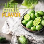 Seed Needs Cucamelon Seeds for Planting Mexican Sour Gherkin Miniature Mouse Melons - Non-GMO Heirloom & Untreated - Grow a Home Grown Indoor Outdoor Vegetable Garden (1 Pack)