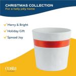 Costa Farms Norfolk Island Pine, Live Christmas Tree Plant in Holiday Decorative Plant Pot, Includes Ornaments, Indoor Houseplant, Holiday Room Décor, Decorations, or Gift, 16-22 Inches Tall