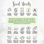 Seed Needs Cucamelon Seeds for Planting Mexican Sour Gherkin Miniature Mouse Melons - Non-GMO Heirloom & Untreated - Grow a Home Grown Indoor Outdoor Vegetable Garden (1 Pack)